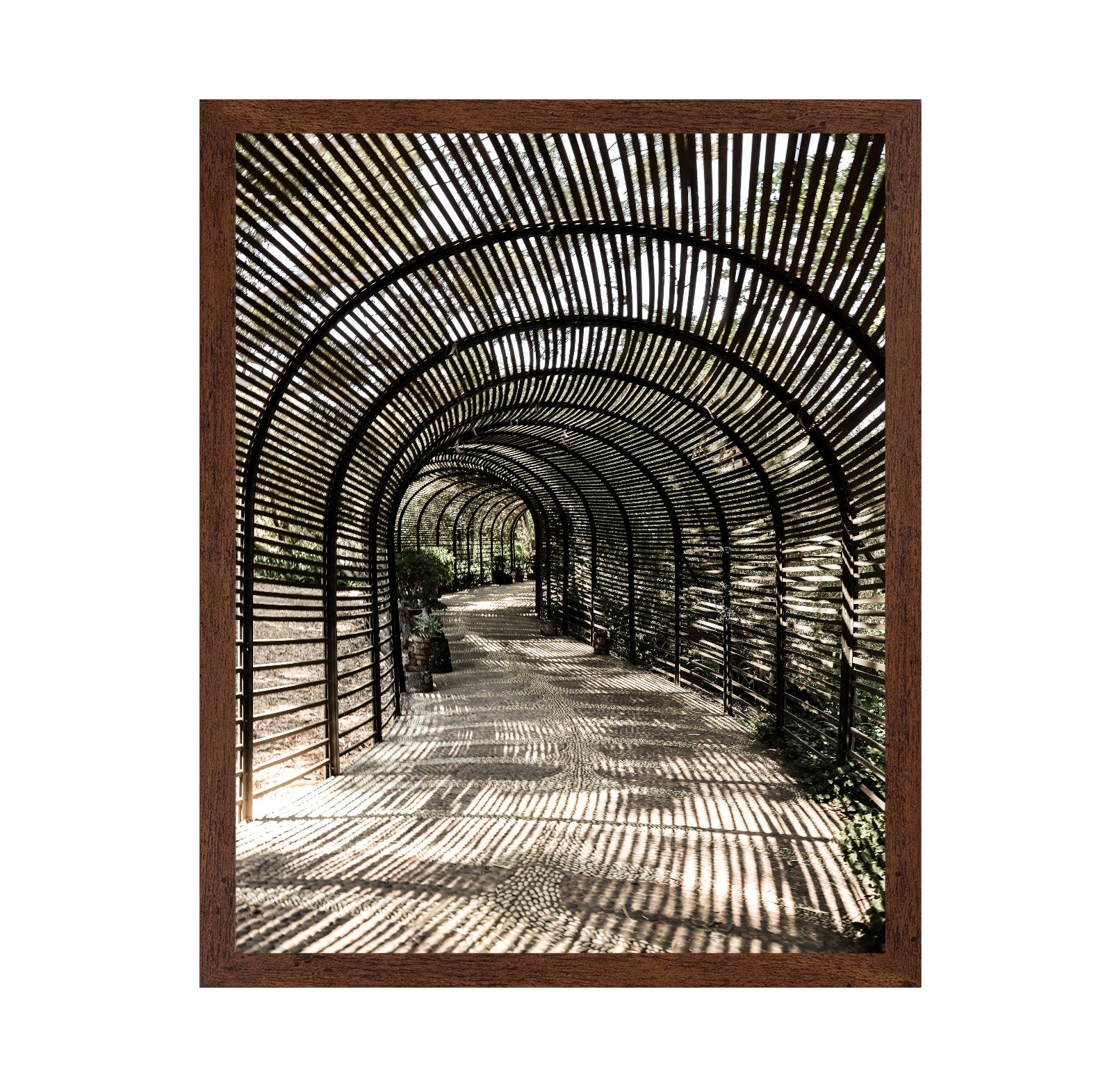 Shadow Tunnel Walk