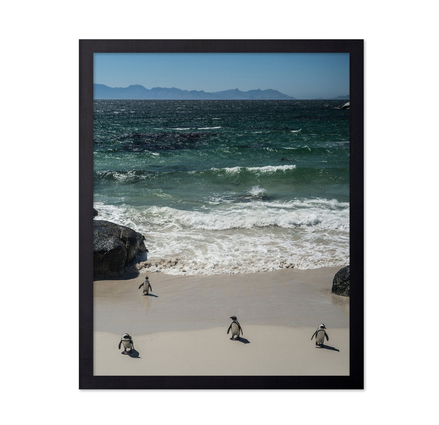 Penguins Beach Walk