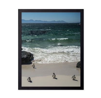 Penguins Beach Walk