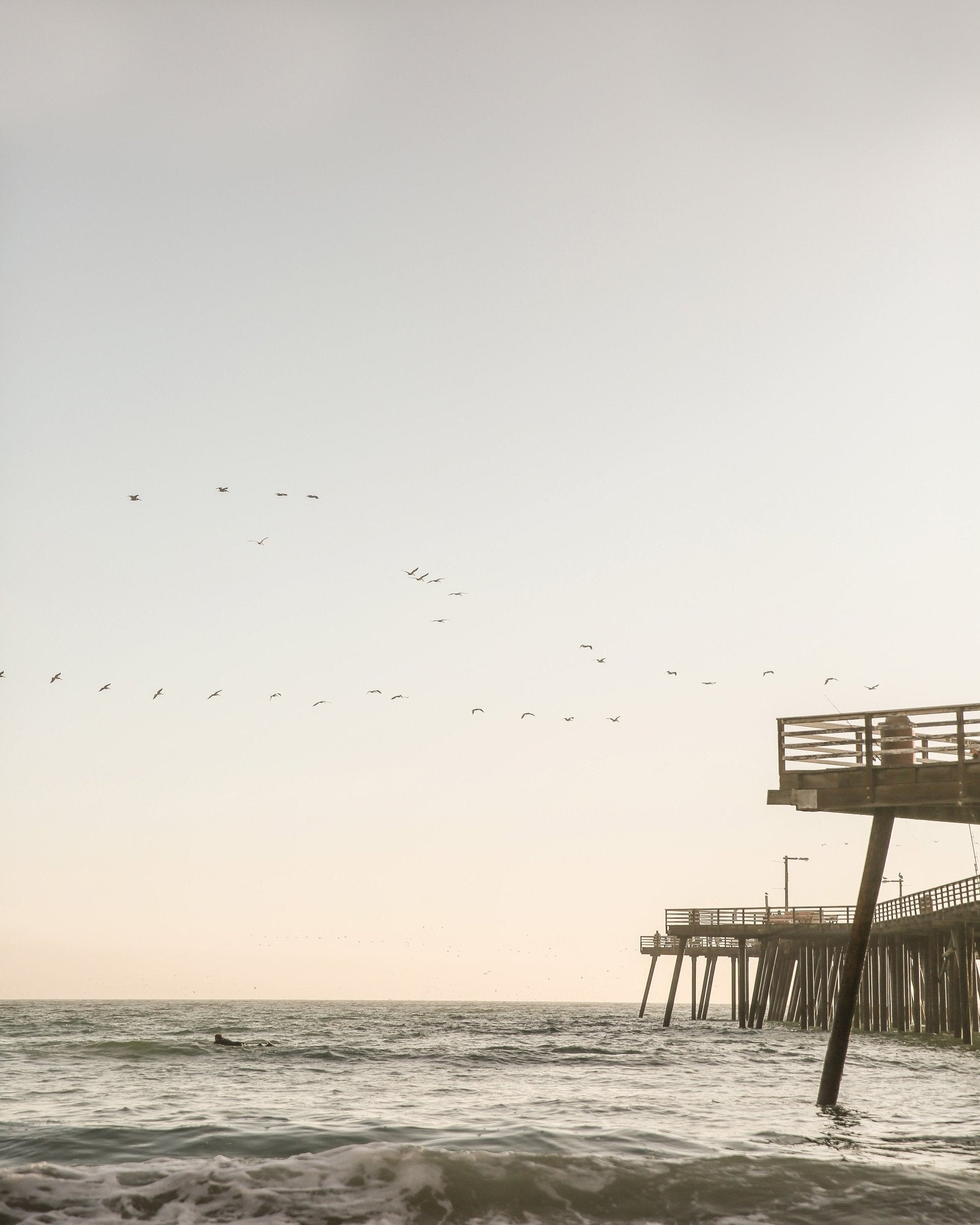 Pier Birds Sunset