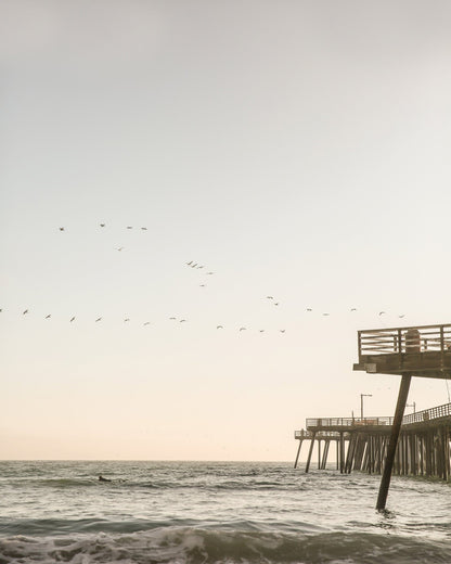 Pier Birds Sunset