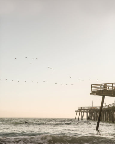 Pier Birds Sunset
