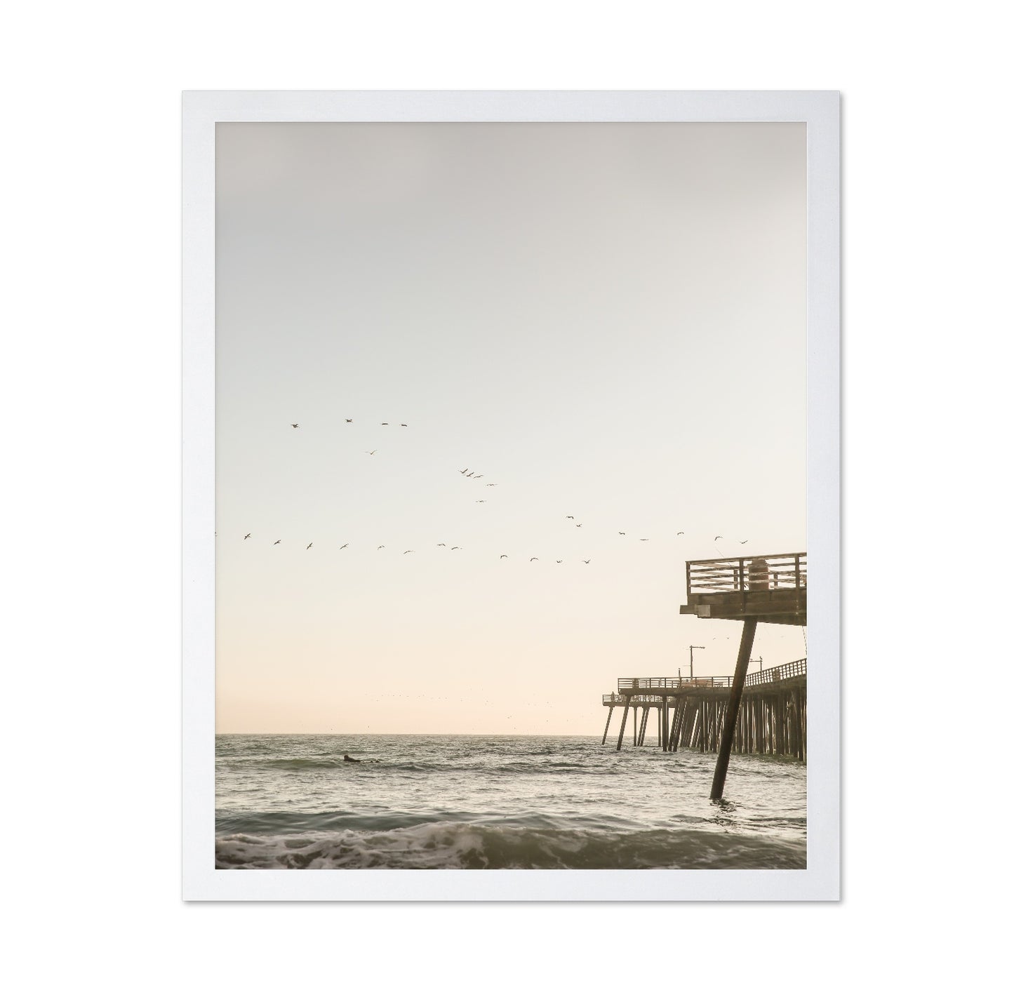Pier Birds Sunset
