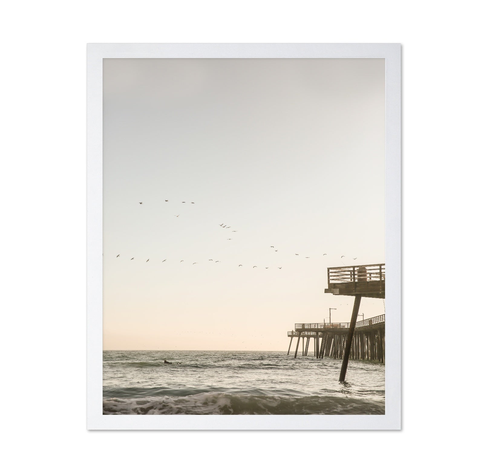Pier Birds Sunset