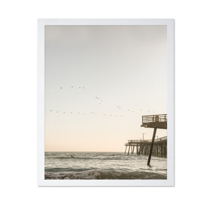 Pier Birds Sunset