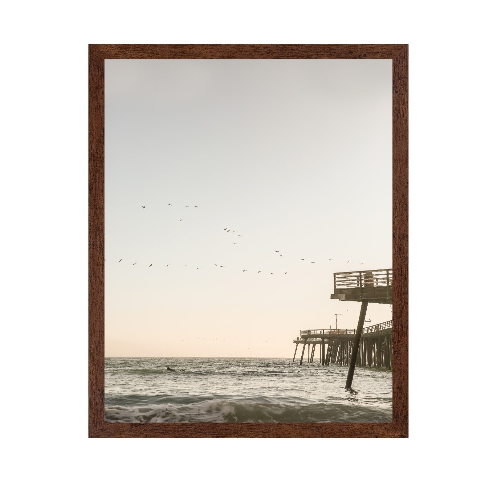Pier Birds Sunset