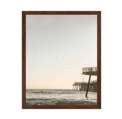 Pier Birds Sunset