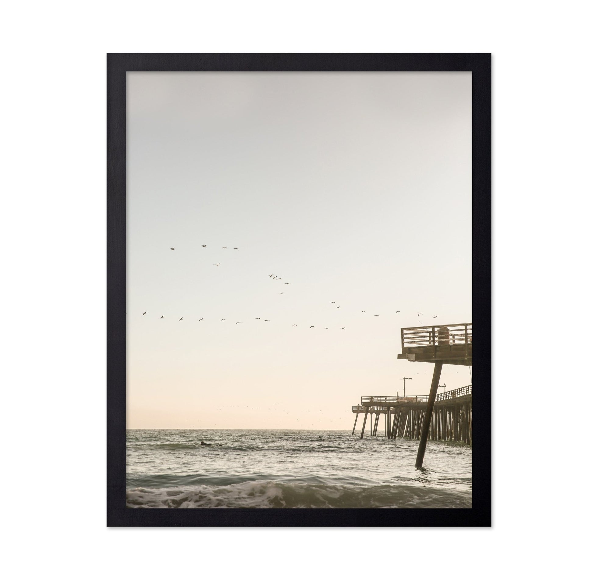 Pier Birds Sunset