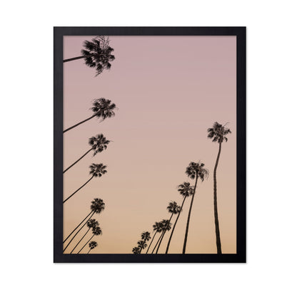 Sunset Palm Silhouettes