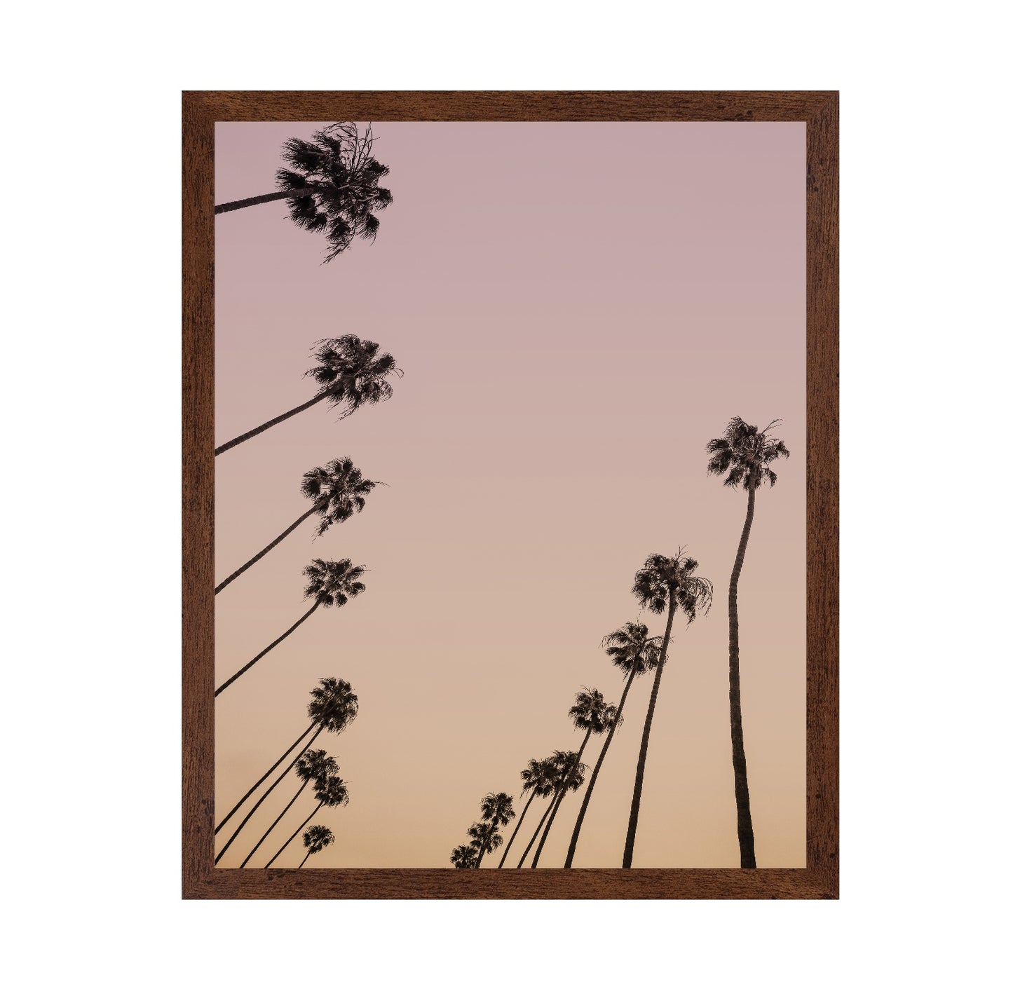 Sunset Palm Silhouettes