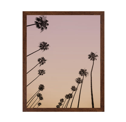 Sunset Palm Silhouettes