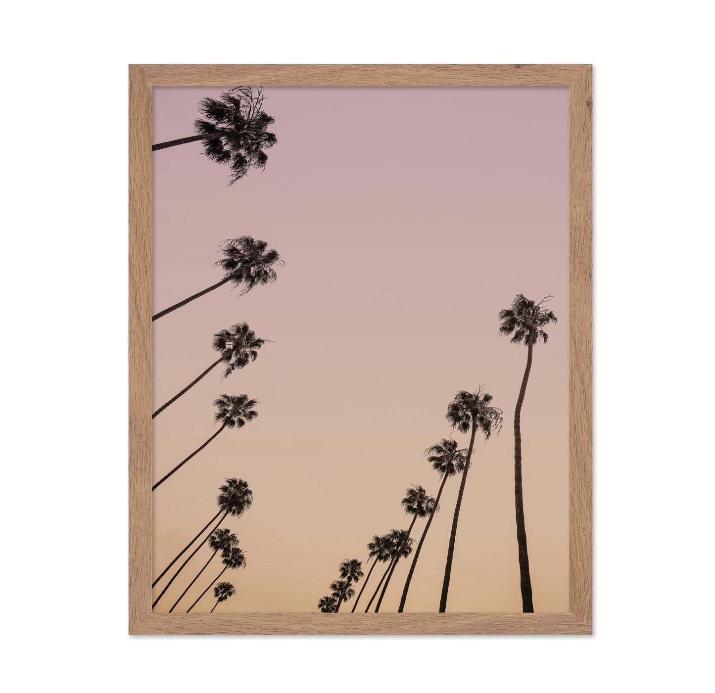 Sunset Palm Silhouettes