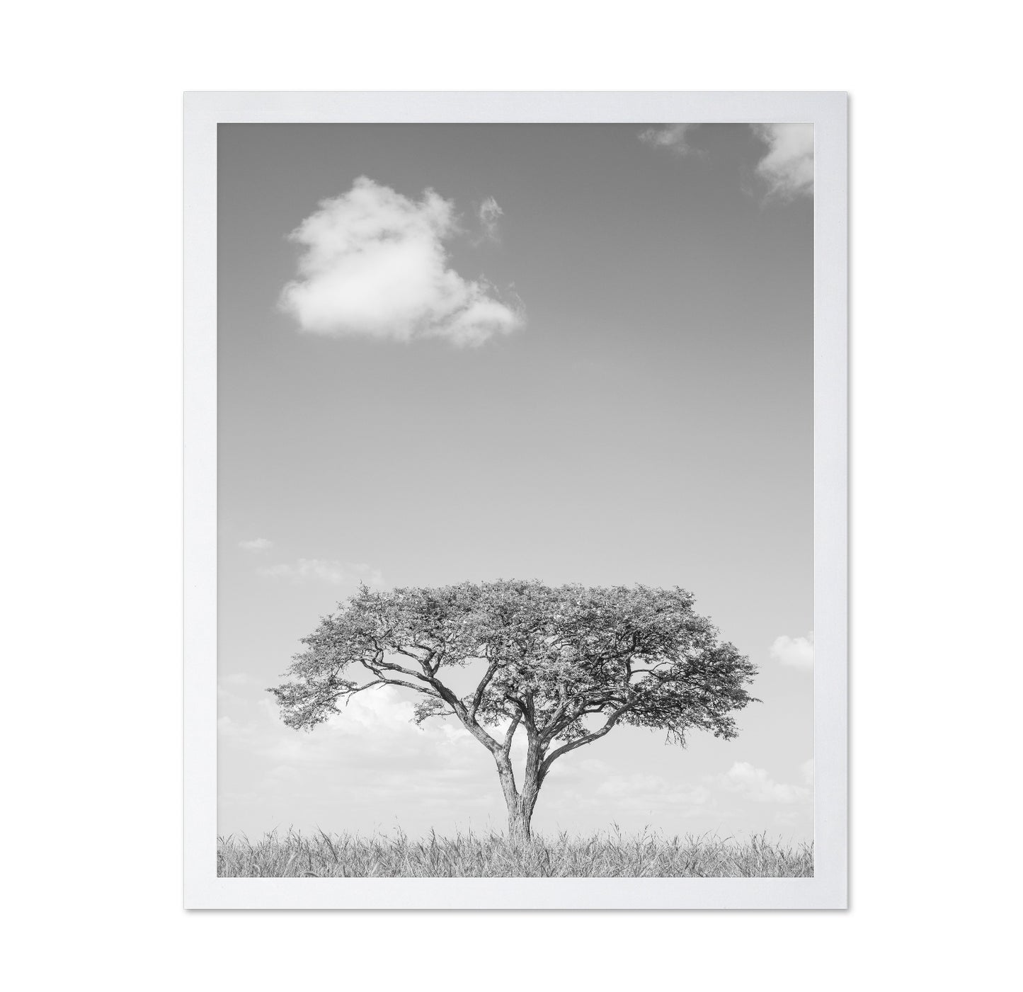 Lone Tree Horizon No4
