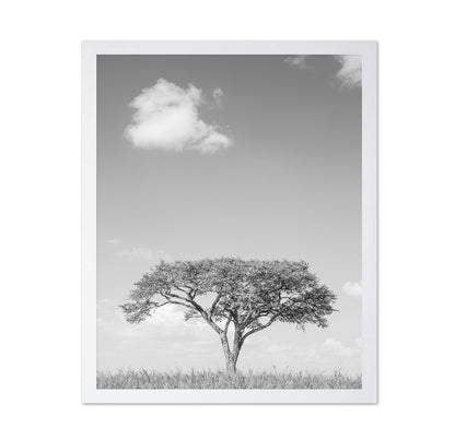 Lone Tree Horizon No4