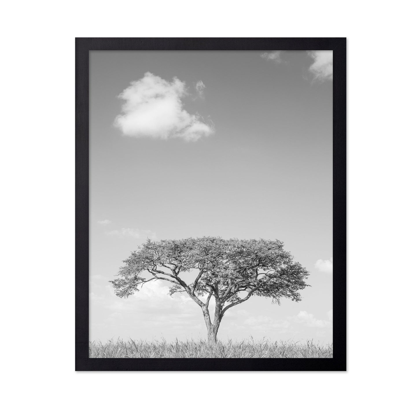 Lone Tree Horizon No4