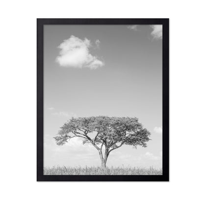 Lone Tree Horizon No4