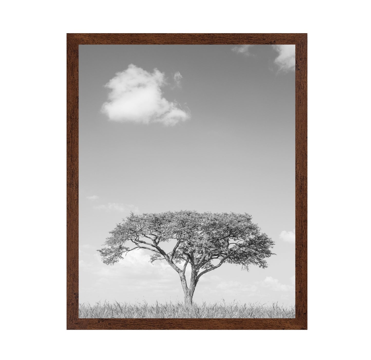 Lone Tree Horizon No4