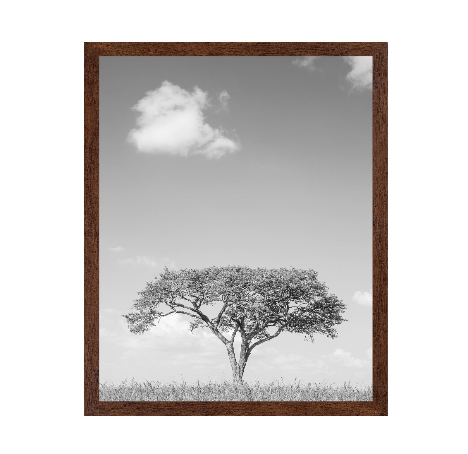 Lone Tree Horizon No4