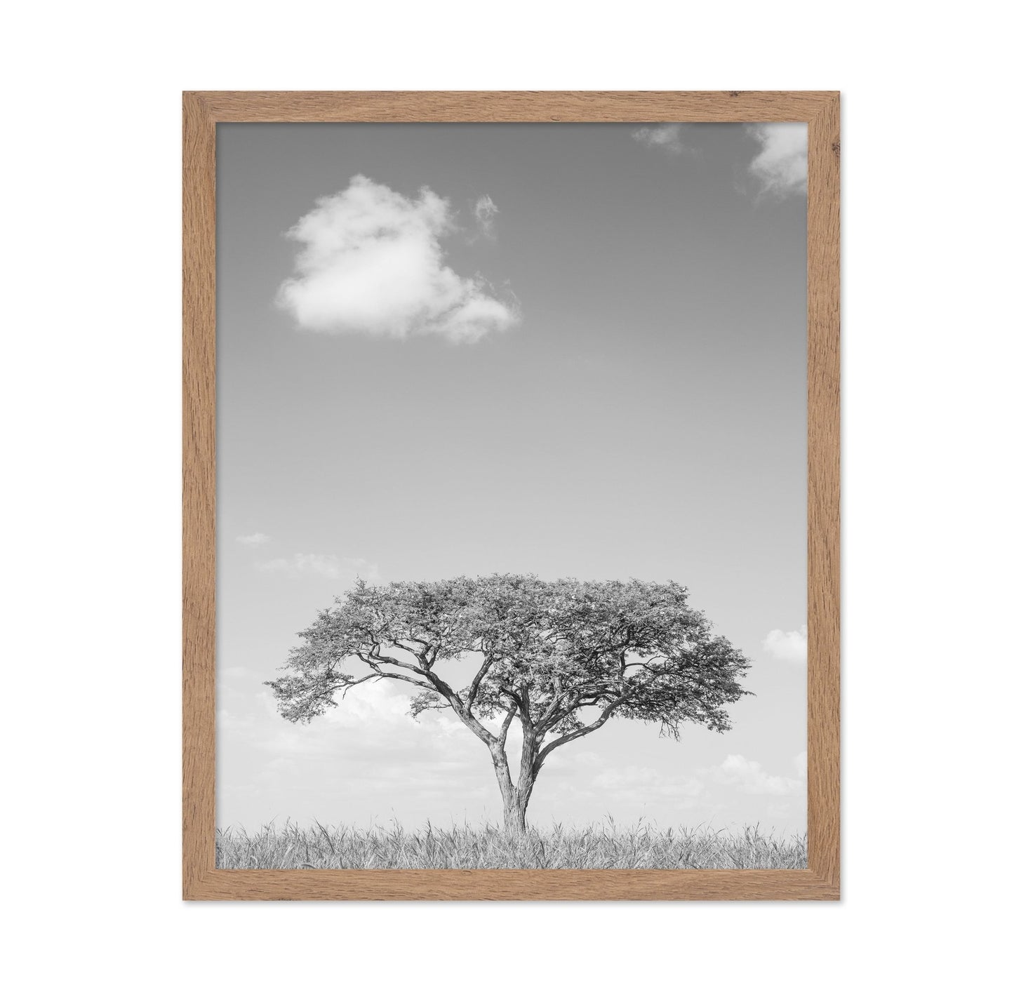 Lone Tree Horizon No4