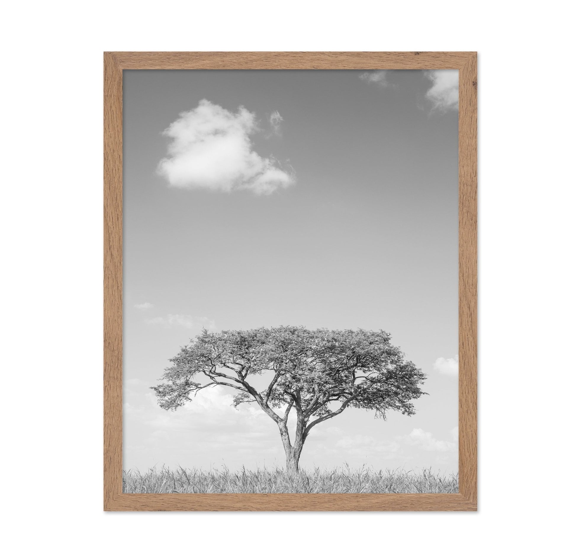Lone Tree Horizon No4