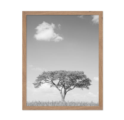 Lone Tree Horizon No4