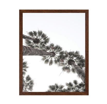 Palm Sky View No3