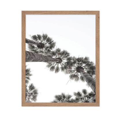 Palm Sky View No3