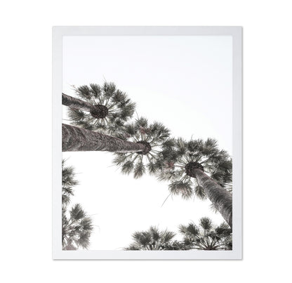 Palm Sky View No3