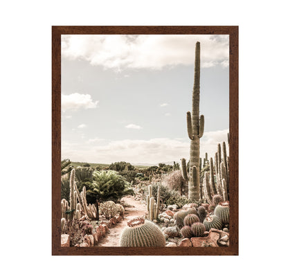 Desert Cactus Garden