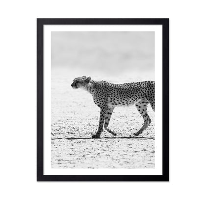 Walking Cheetah