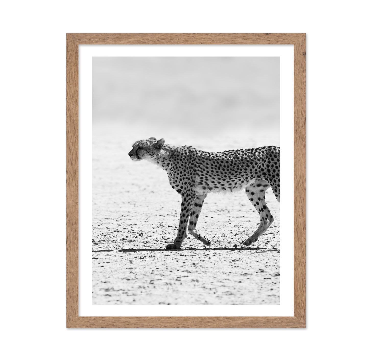 Walking Cheetah