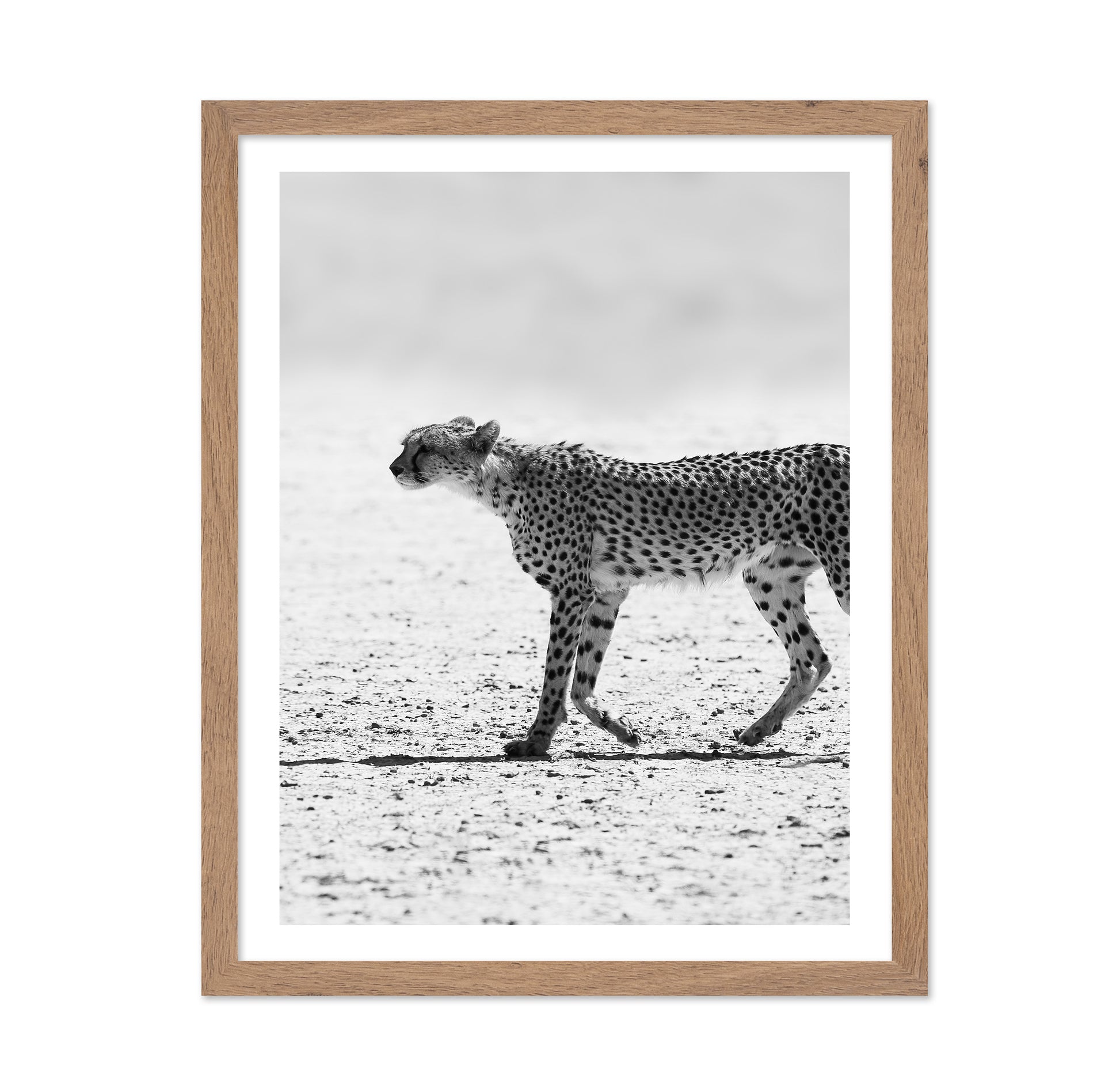 Walking Cheetah