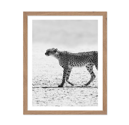 Walking Cheetah