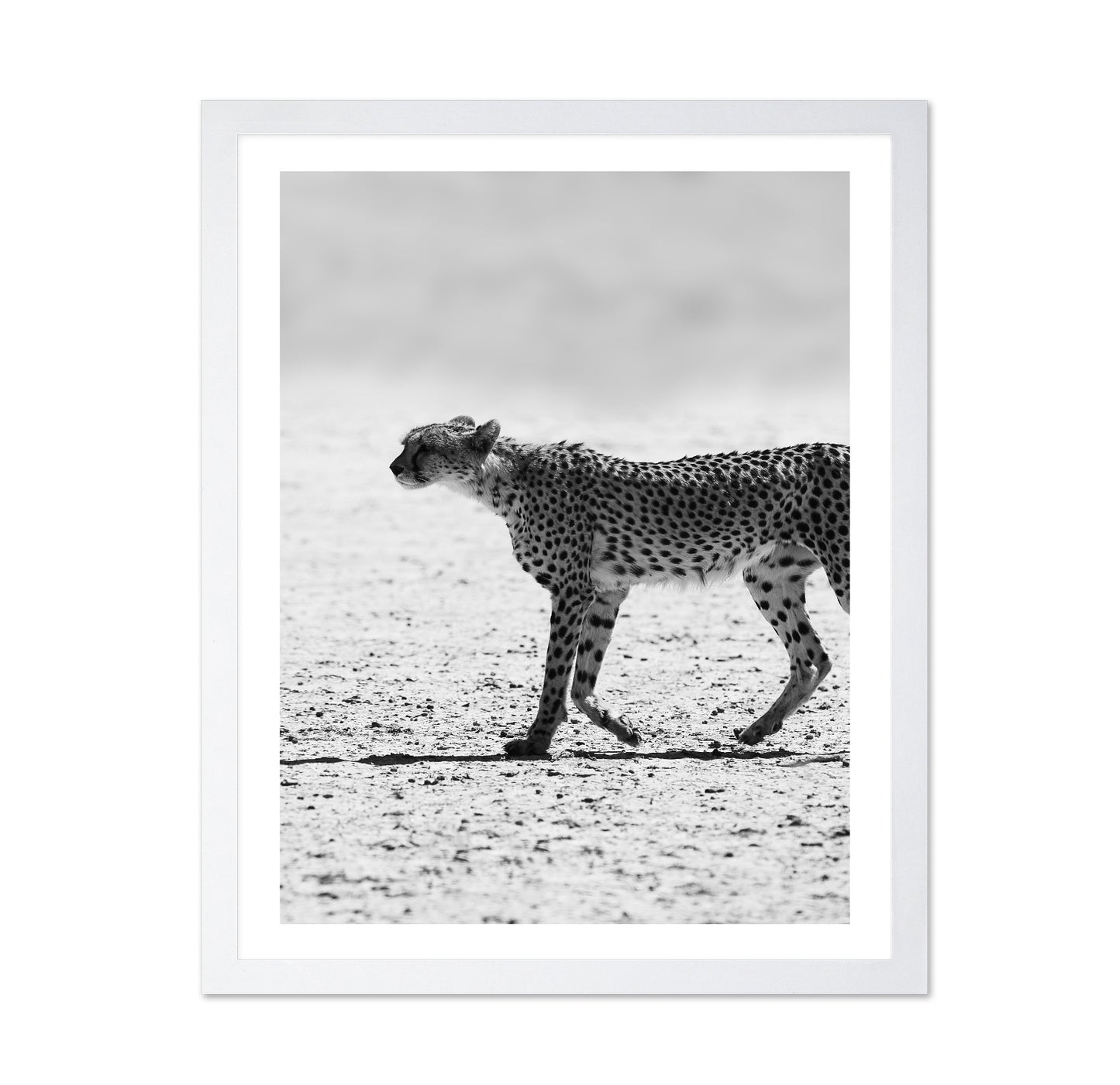 Walking Cheetah
