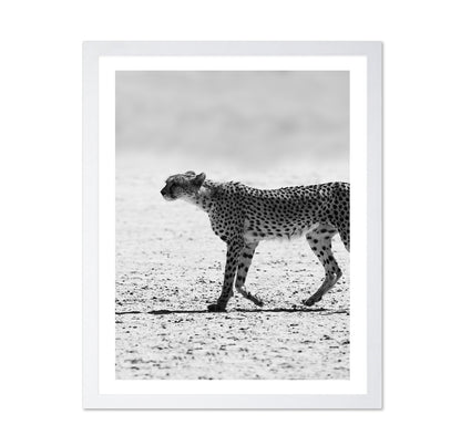 Walking Cheetah