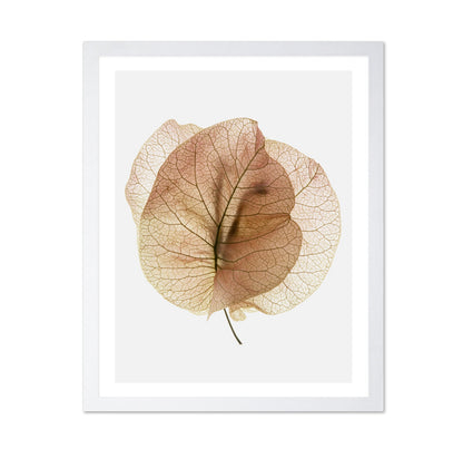 Translucent Floral Veins