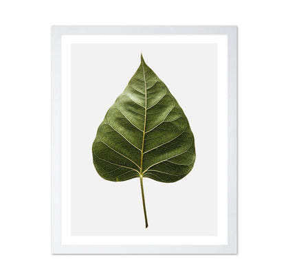 Botanical Leaf Detail