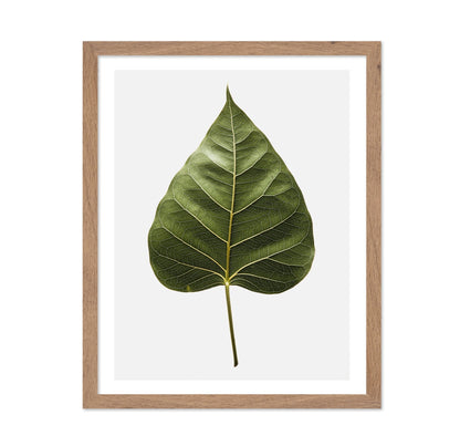 Botanical Leaf Detail