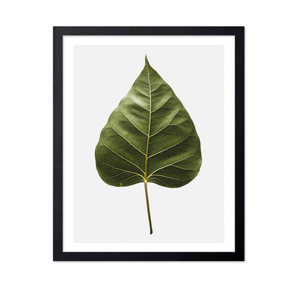 Botanical Leaf Detail