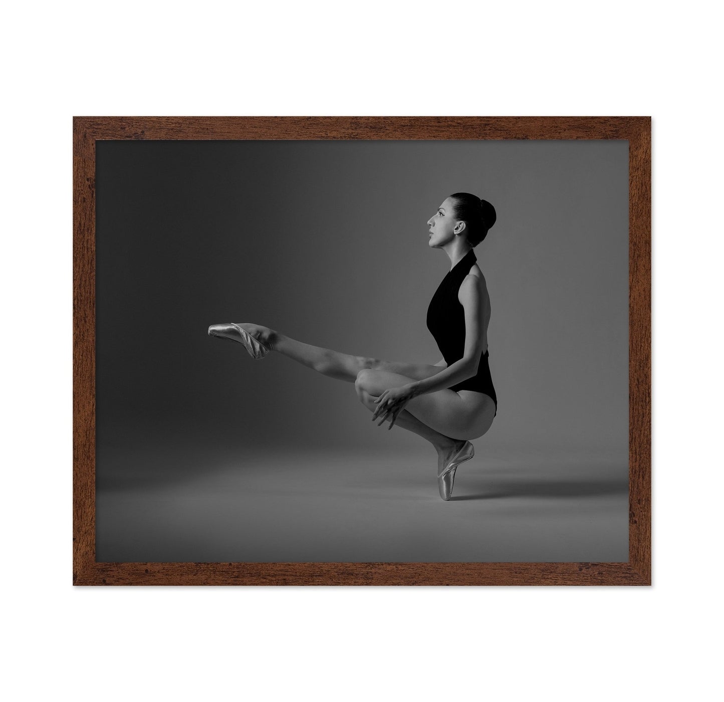 Graceful Ballet Pose