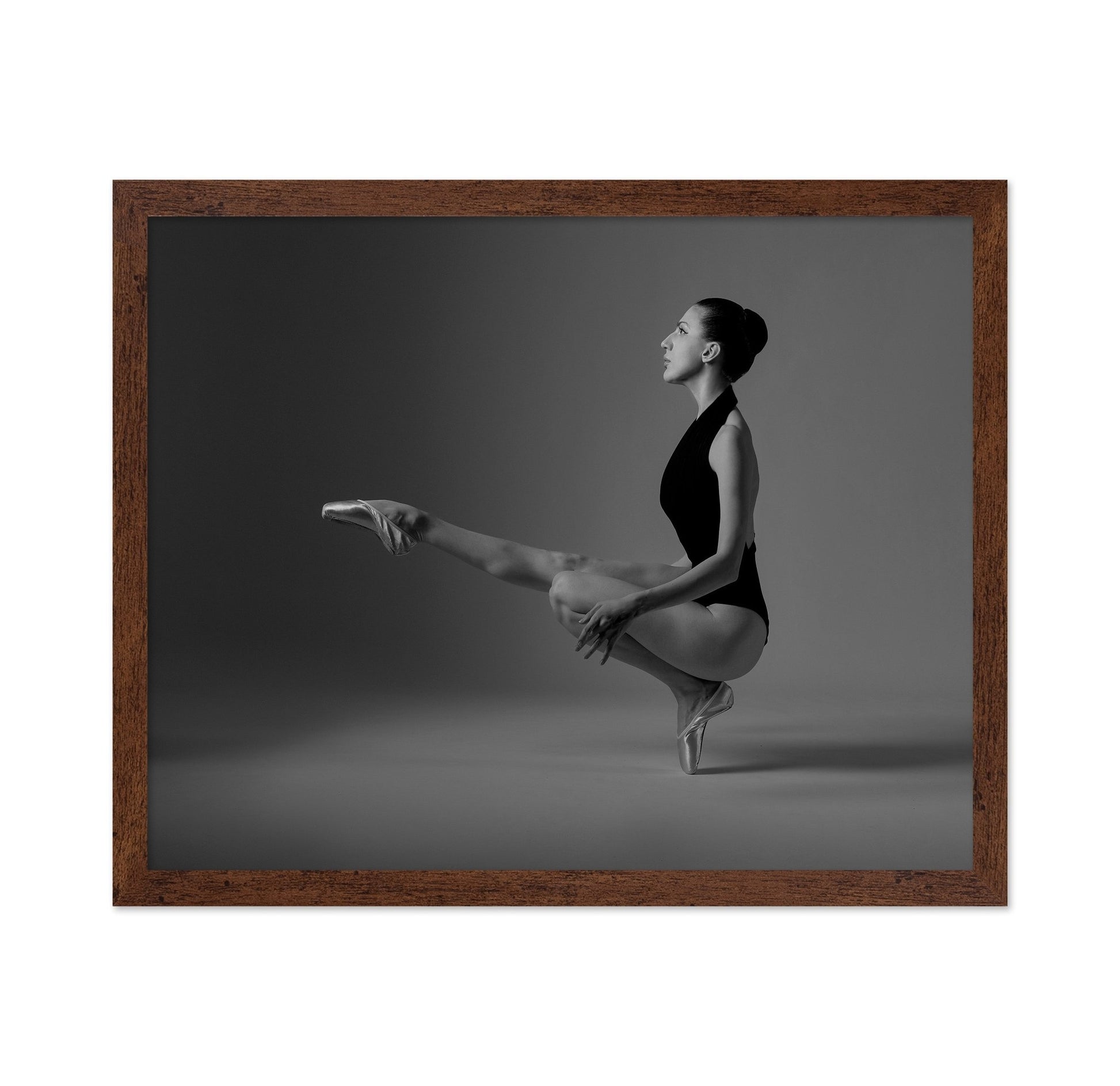 Graceful Ballet Pose