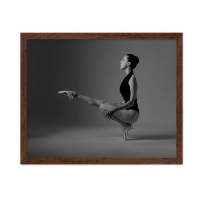 Graceful Ballet Pose