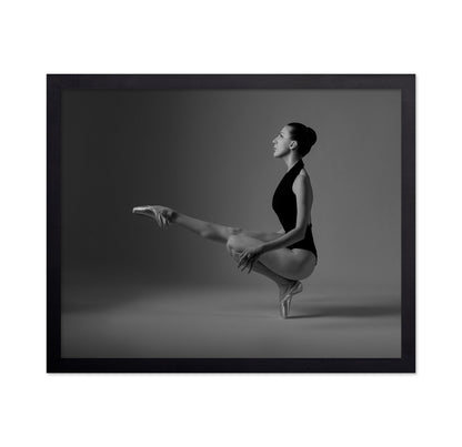 Graceful Ballet Pose