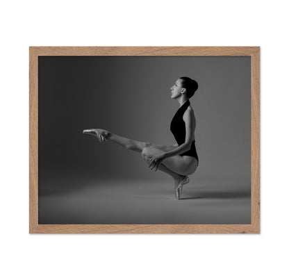 Graceful Ballet Pose