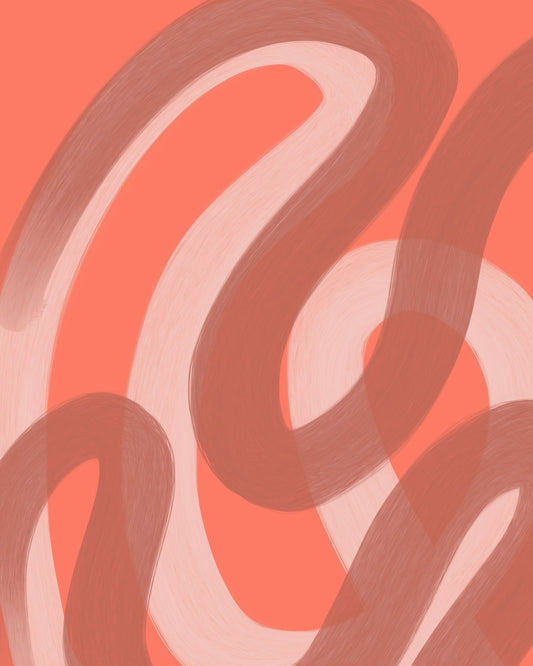 Coral Loop Flow