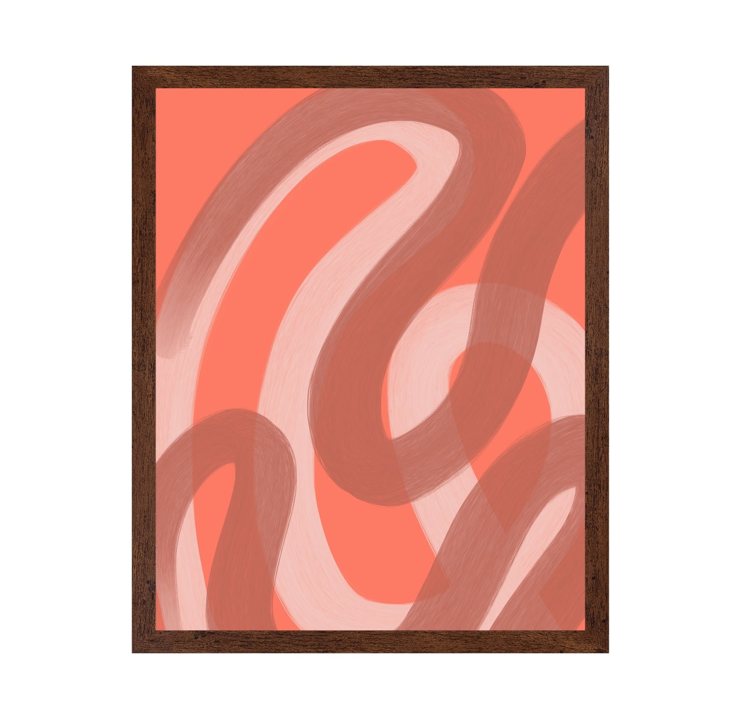 Coral Loop Flow