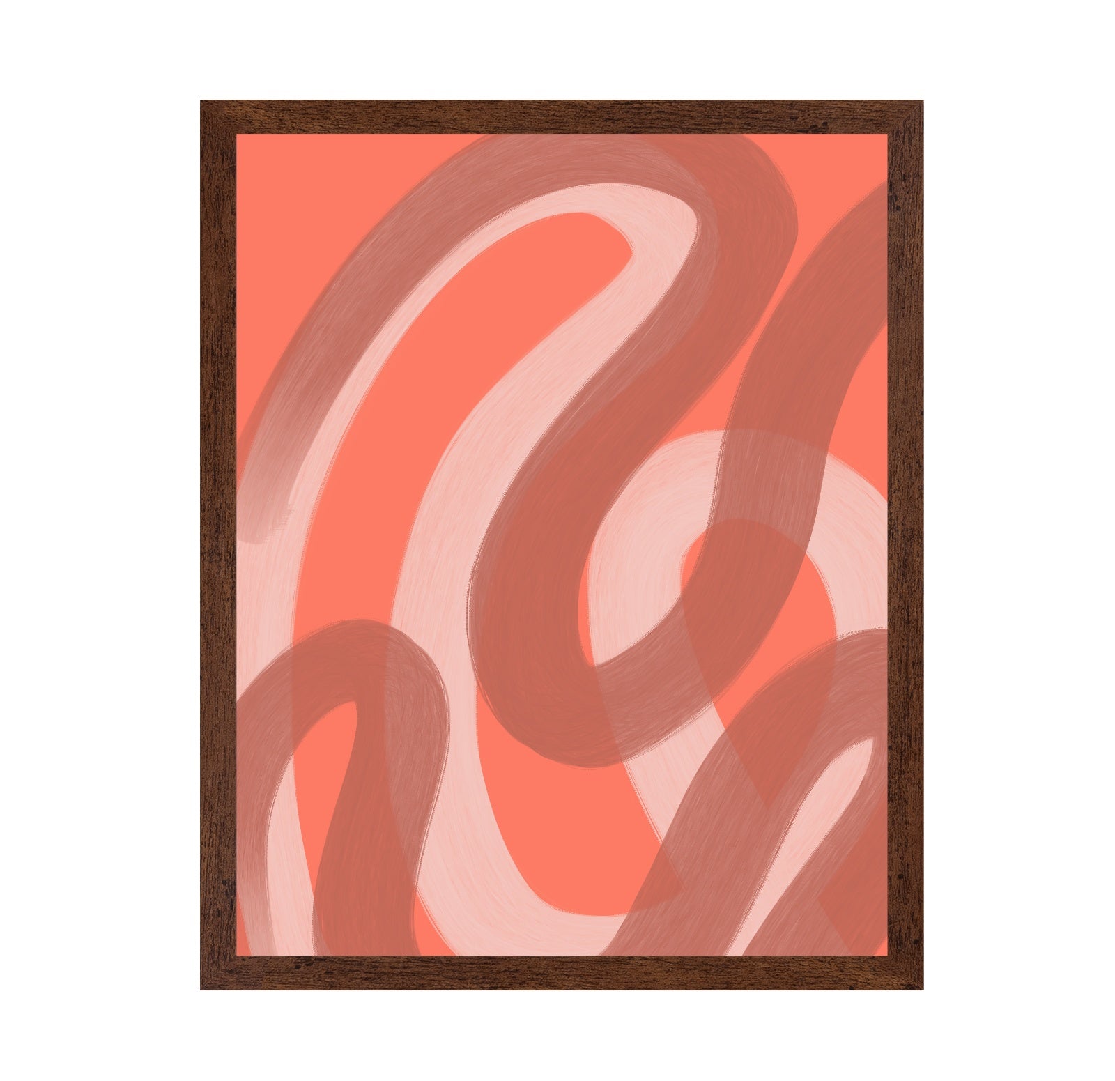 Coral Loop Flow