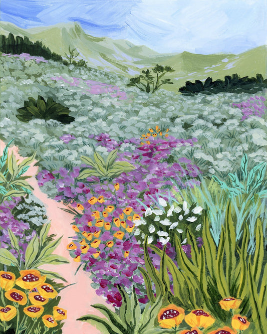 Wildflower Meadow Path No3