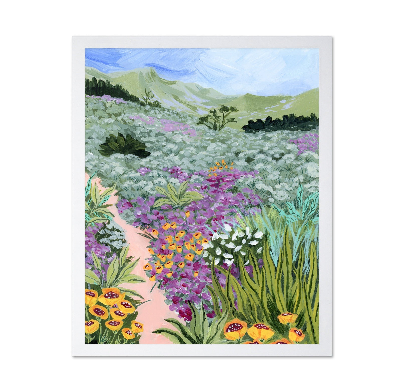 Wildflower Meadow Path No3