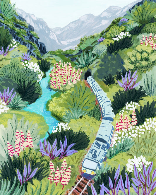 Valley Train Ride